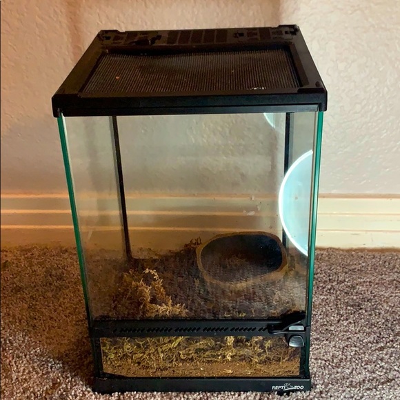 reptizoo Other 5 Gallon 8x8x2 Inch Terrarium Poshmark